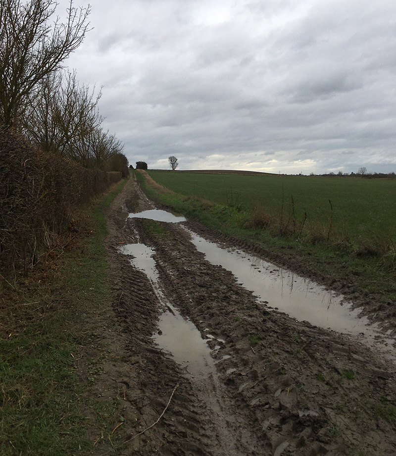 Charles Moseley | Dreich Blog | Farm Track | Cambridge Writer