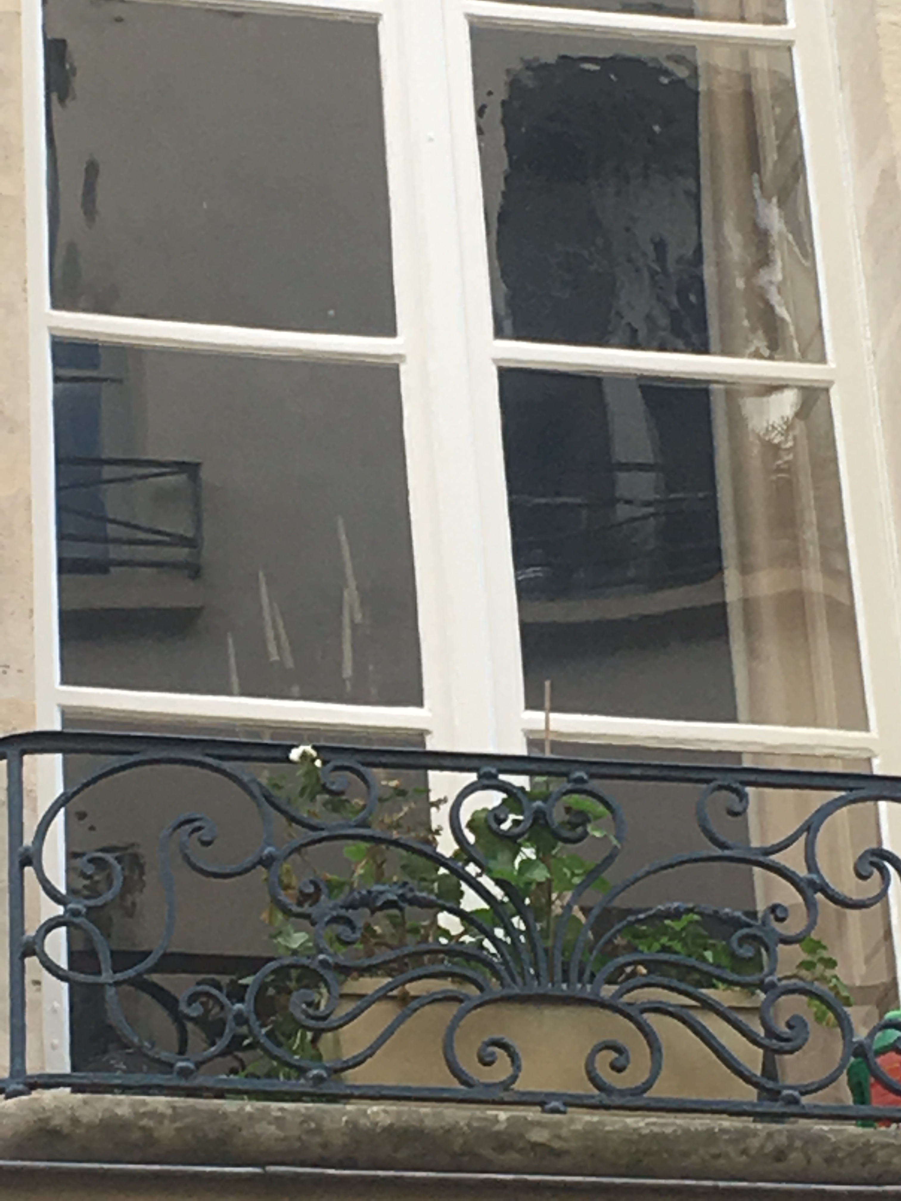 Spring Morning, Paris | Window | Blog | Moseley | Cambridge Writer