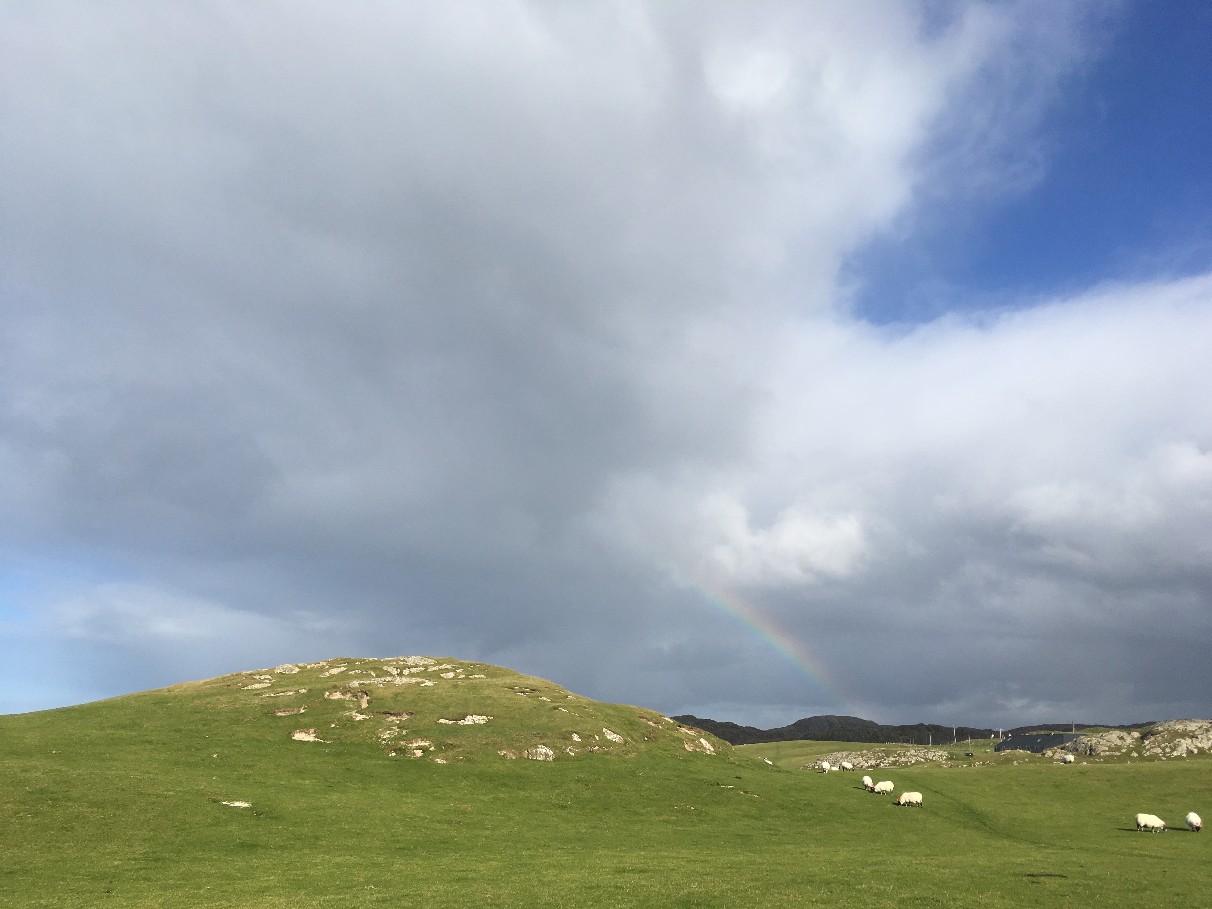 Charles Moseley | Iona Blog | sheep | rainbow | Columba | Cambridge Writer
